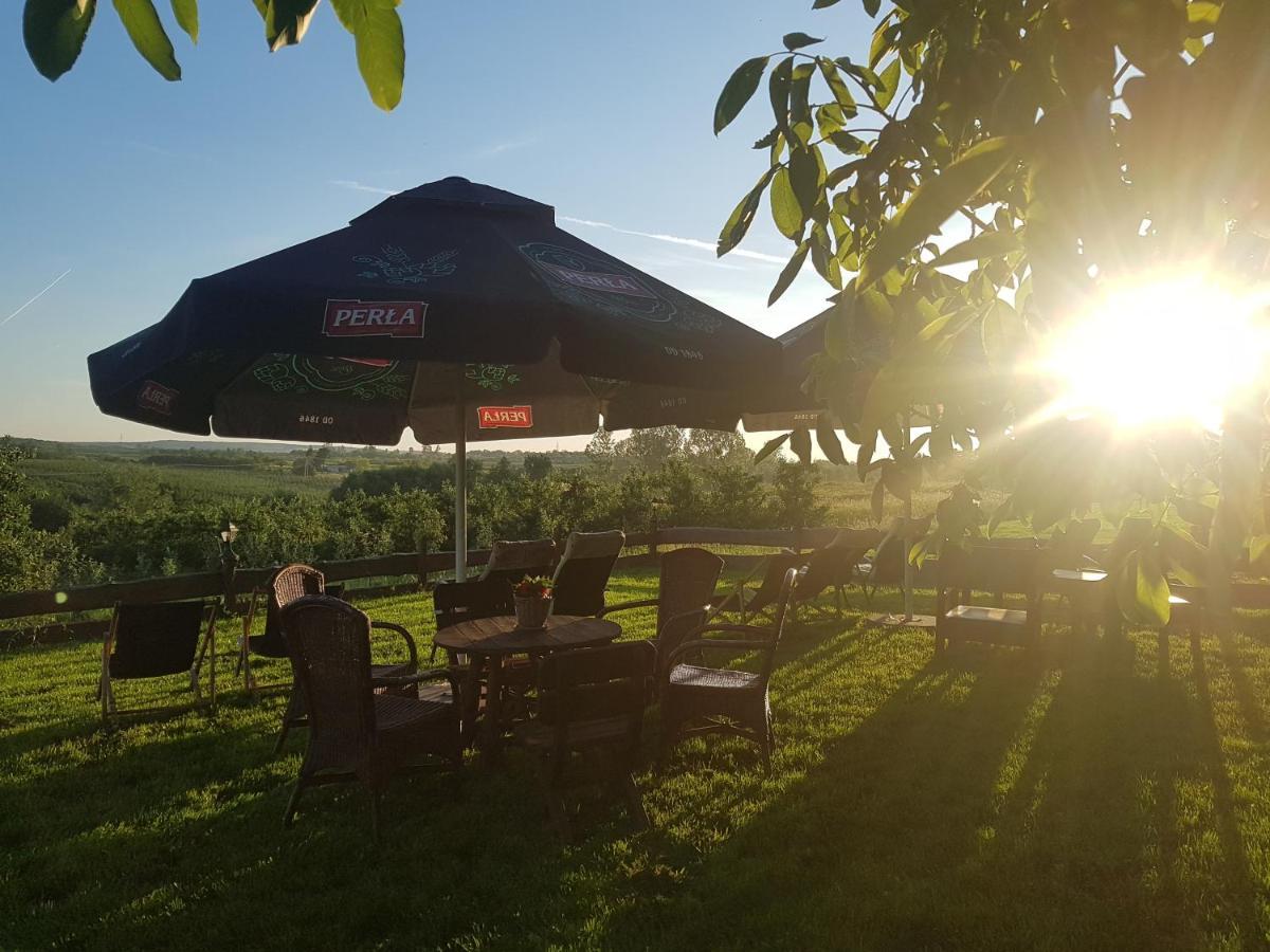 Dwor Na Wichrowym Wzgorzu Bed & Breakfast Przybysławice Екстериор снимка