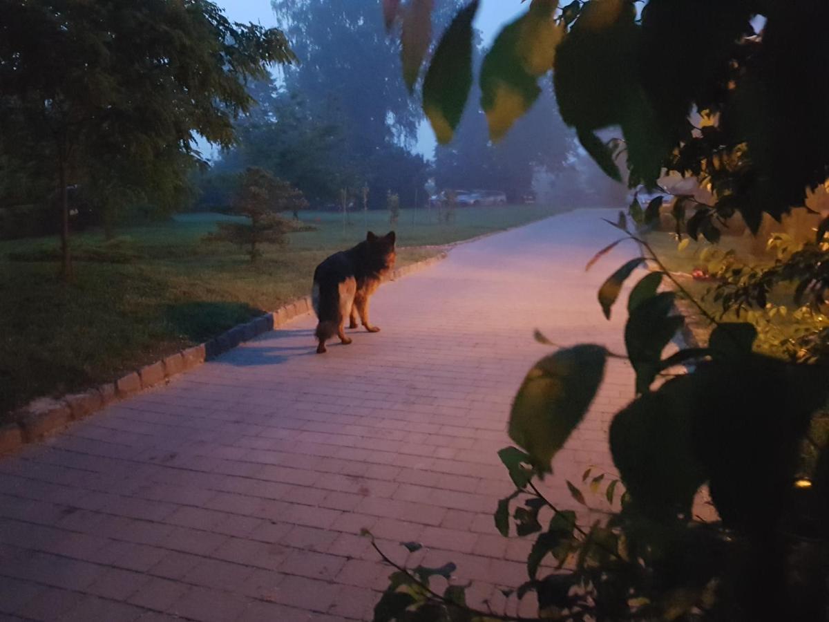 Dwor Na Wichrowym Wzgorzu Bed & Breakfast Przybysławice Екстериор снимка